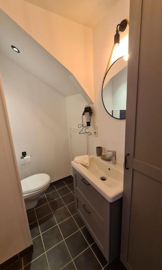 Studio Le Ligerien Saint-Denis-de lʼHôtel Buitenkant foto